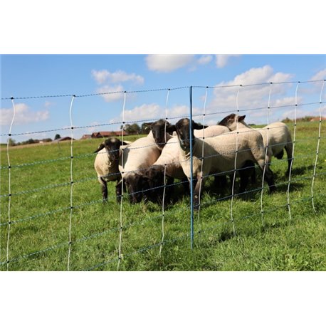 Filet WolfNet Premium Vario Double pointes