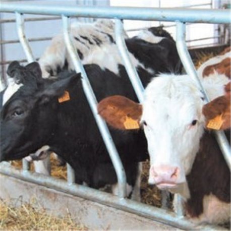 DIAGONAL-FREIFRESSGITTER