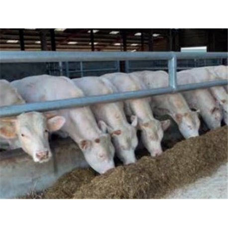 DOPPELTES NACKENROHR