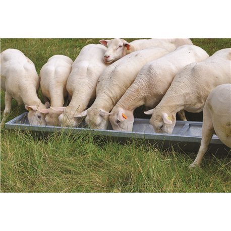 AUGE GALVANISEE POUR PETITS ANIMAUX