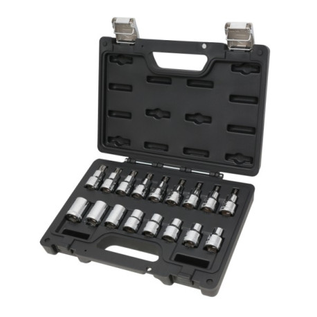 Sortiment mit Steckschlüsseln für Torx Schrauben im Kunststoffkasten 1/2''