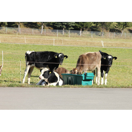 Bac rectangulaire en polyéthylène pour bovin/chevaux/ovin/caprin