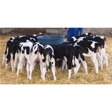 MILK BAR 20 tétines - 120L