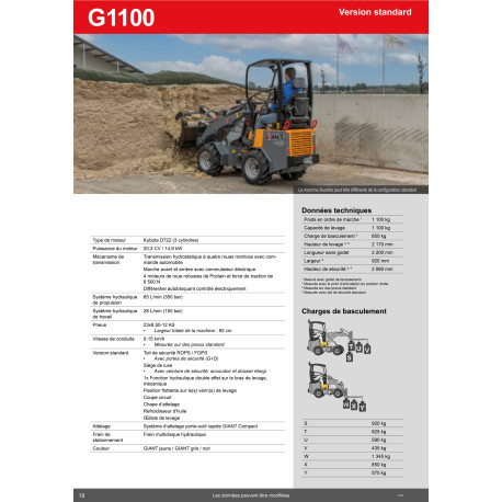 Ultrakompakter Lader Giant G1100