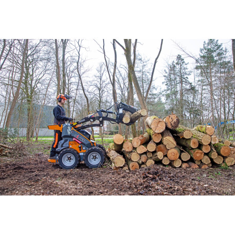 Skid-Steer-Lader Giant GS900