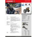 Skid-Steer-Lader Giant GS900 E