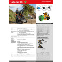 Chargeuse skid-steer GIANT GS950 TE