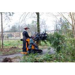 Chargeuse skid-steer GIANT GS950 T 2