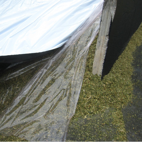 Sous film 8x50 mètres transparent  (cellophane)