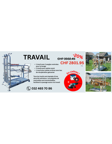 TRAVAIL