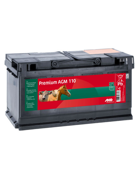 Premium AGM Akku 110Ah