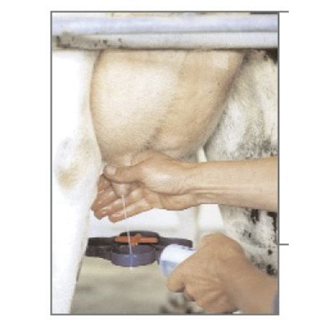 Mastitis-Tester