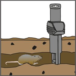 Piège à campagnols  2