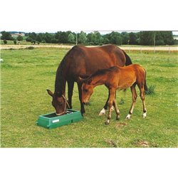 Mangeoire linéaire sélective pour chevaux  2