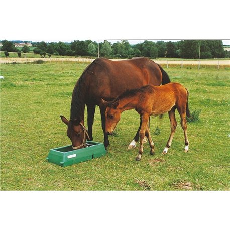 Mangeoire linéaire sélective pour chevaux 