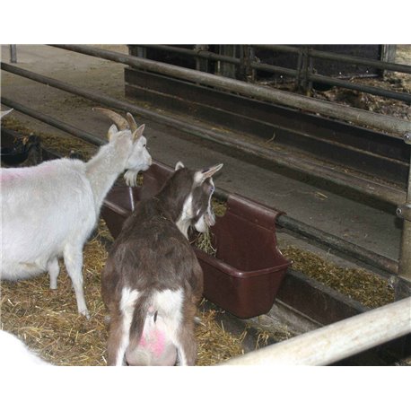 Mangeoire à crochets pour bovin/chevaux/ovin