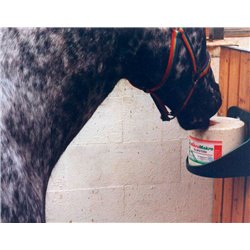 Support de pierre à sel 2