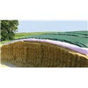 Bâche 10X50 mètres pour protection d'ensilage (Vert/Blanc)