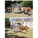 RATELIER 16 PLACES  BIG BALL TYPE CHEVAL 2X3