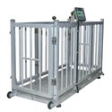 Cage de pesage Inox pour moutons/veaux/porcs