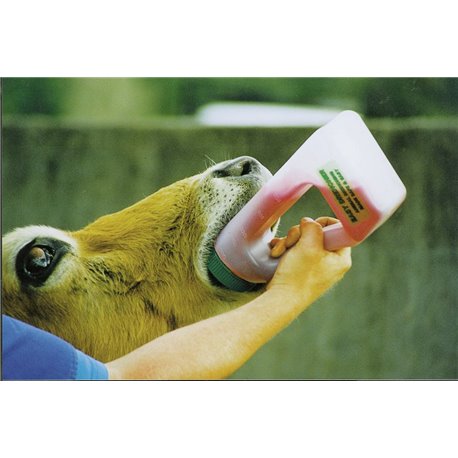 Biberon Easy-Drencher 