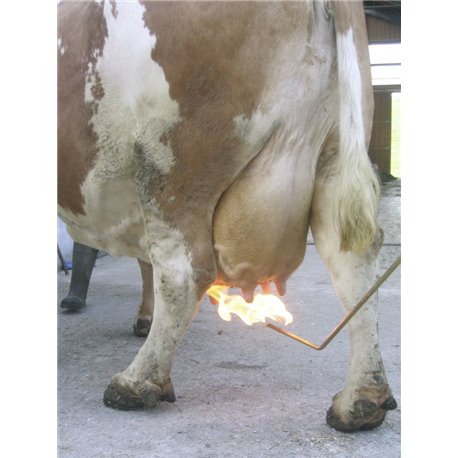 Epilateur thermique PREVENTA